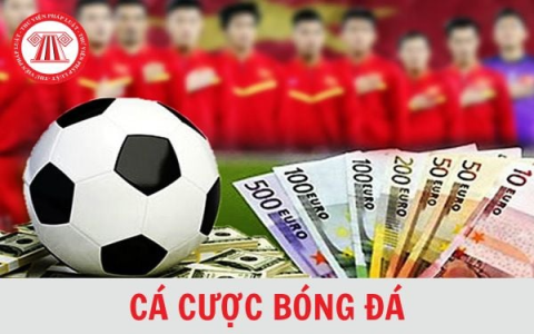 Hướng Dẫn Soi Kèo Nhà Cái Chính Xác Với Tỷ Lệ Cá Cược Cao