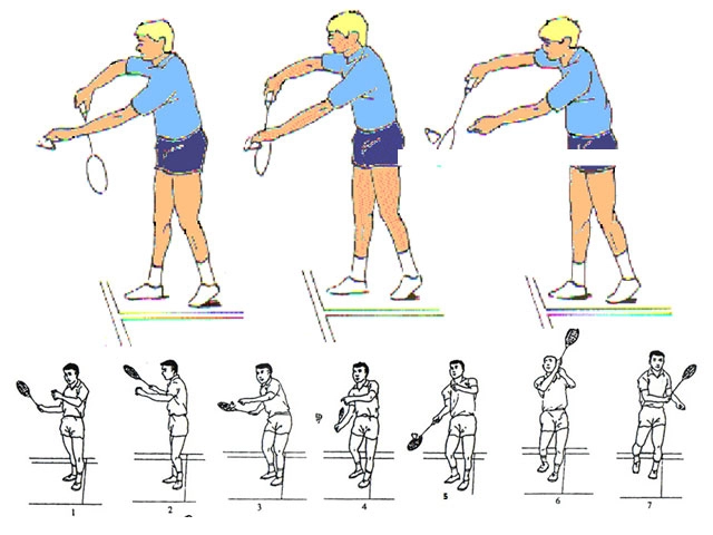 Các kỹ thuật cơ bản trong cầu lông bạn nhất định phải biết để nâng cao trình độ