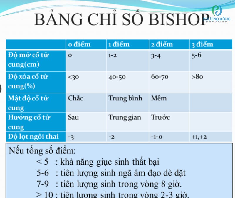 ý nghĩa của thang điểm bishop (mẹ bầu nên đọc)